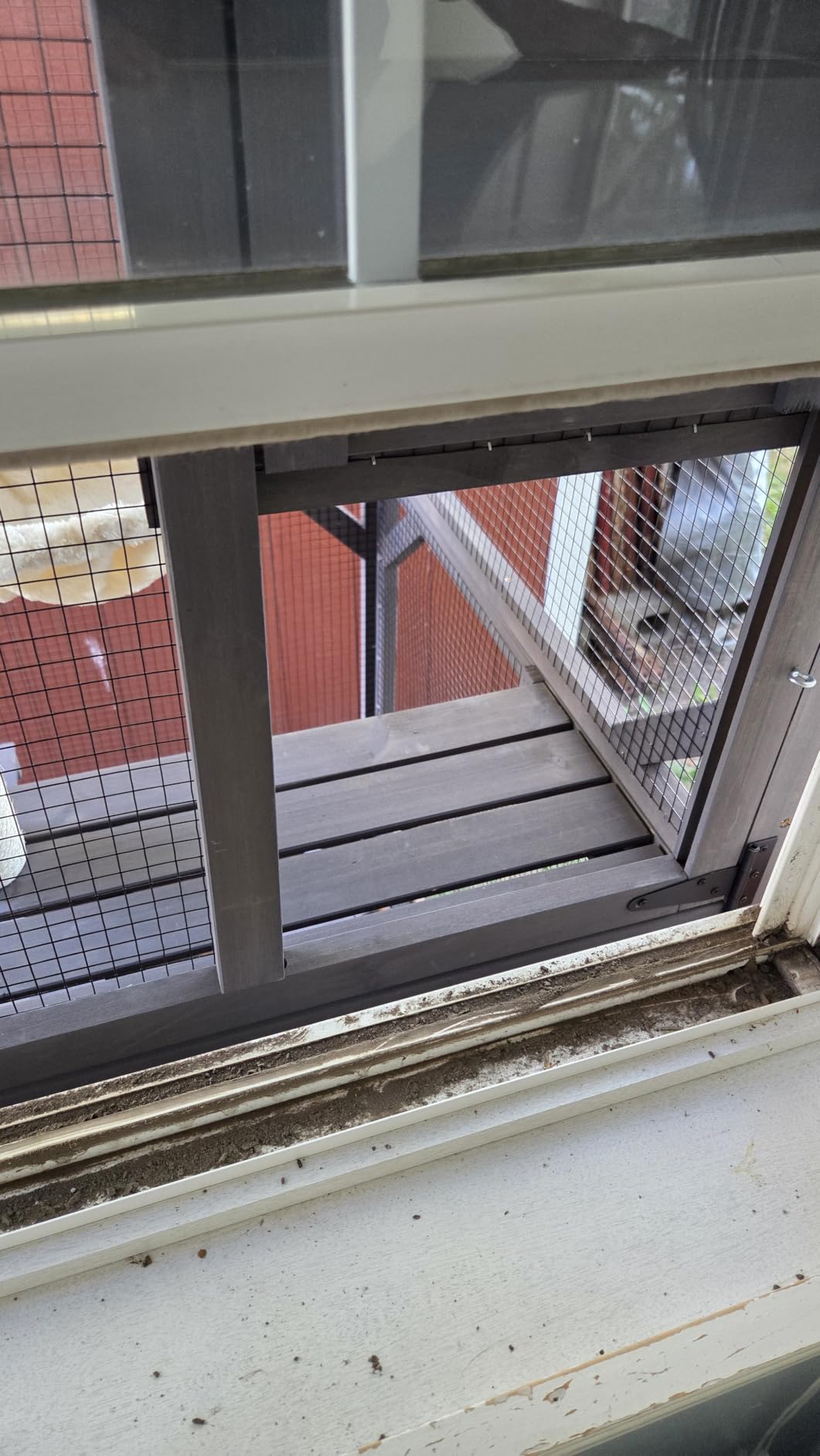 Aivituvin Catio Outdoor Cat Enclosure with Scratch Post, Hammock, Large Window Cat House for 2-6 Multiple Cats Walk in Kitty Cage with Tarp Roof 70