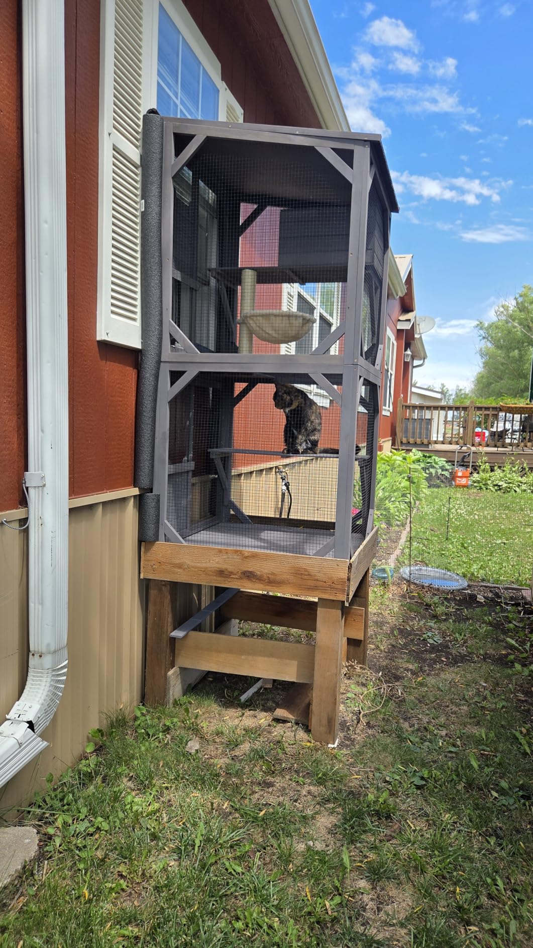 Aivituvin Catio Outdoor Cat Enclosure with Scratch Post, Hammock, Large Window Cat House for 2-6 Multiple Cats Walk in Kitty Cage with Tarp Roof 70