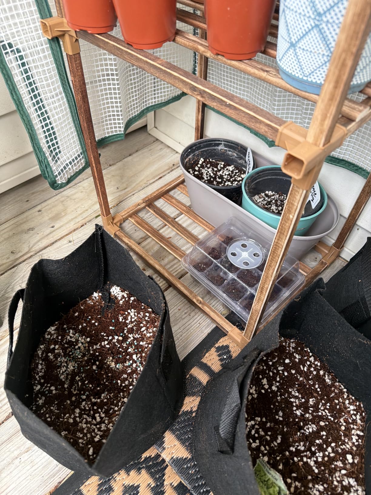 Bamworld Greenhouse for Outdoors Small Plant Green House 3-Tier Rack Stand Portable Greenhouses with Durable PE Cover for Seedling Ideal Gardening Gifts for Women Plants Lover customer photo 2