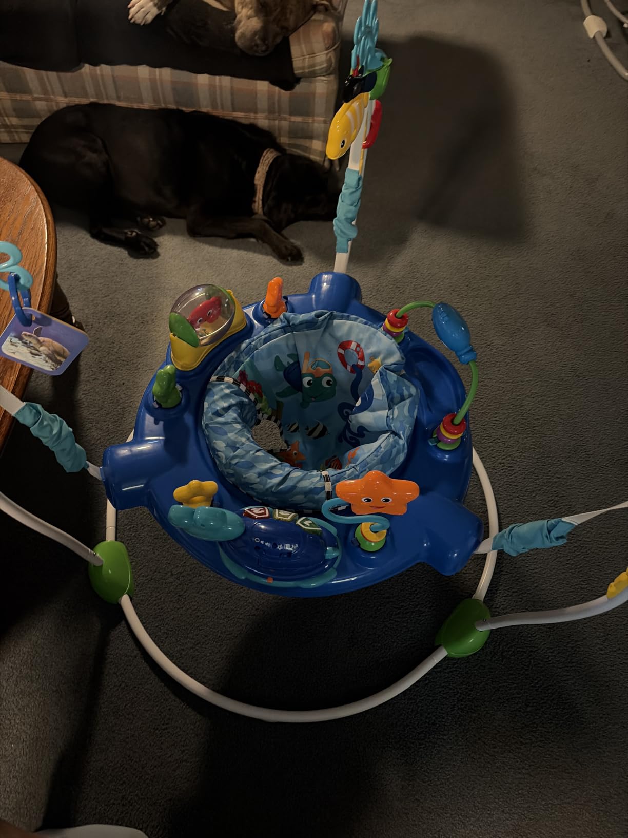 Baby Einstein Farm Explorers Jump & Learn Barnyard 2-in-1 Baby Jumper Activity Center with Interactive Toys, Music, Lights, & Sounds, Ages 6-12 Months customer photo 1