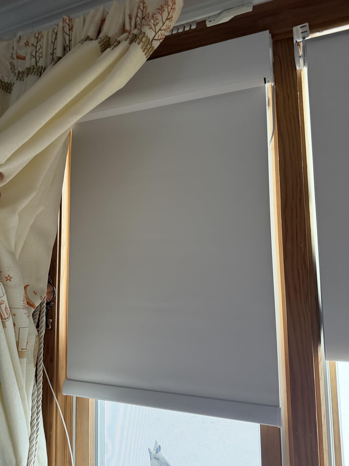 No Drill Motorized Blinds with Remote, 100% Blackout Roller Shades | Custom Smart Electric Blinds Work with Alexa, Apple Homekit, Google, Cordless Automatic No Drill Shades with UV Protection customer photo 1