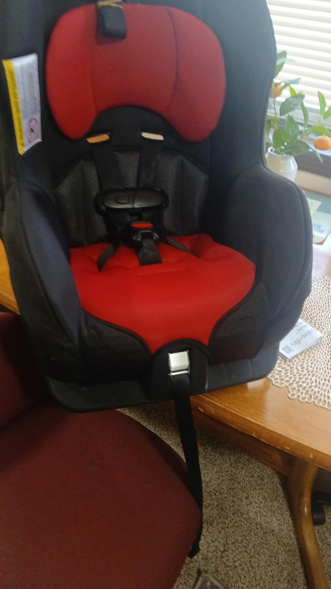 Evenflo Tribute LX Convertible Car Seat | Rear-Facing & Forward- Facing Modes, Compact Convenience for On-the-Go Families (Saturn Gray) customer photo 1