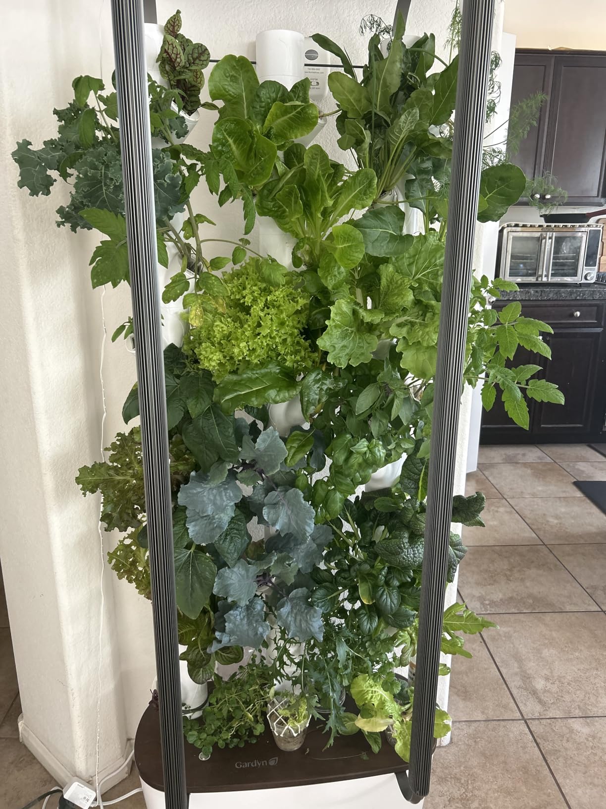 Gardyn Home 4 Vertical Hydroponics Growing System Kit - 30 Plants | AI-Powered Smart Garden with LED Grow Lights. Grow pesticide-free, non-GMO greens & veggies at home-safe, recall-free customer photo 2