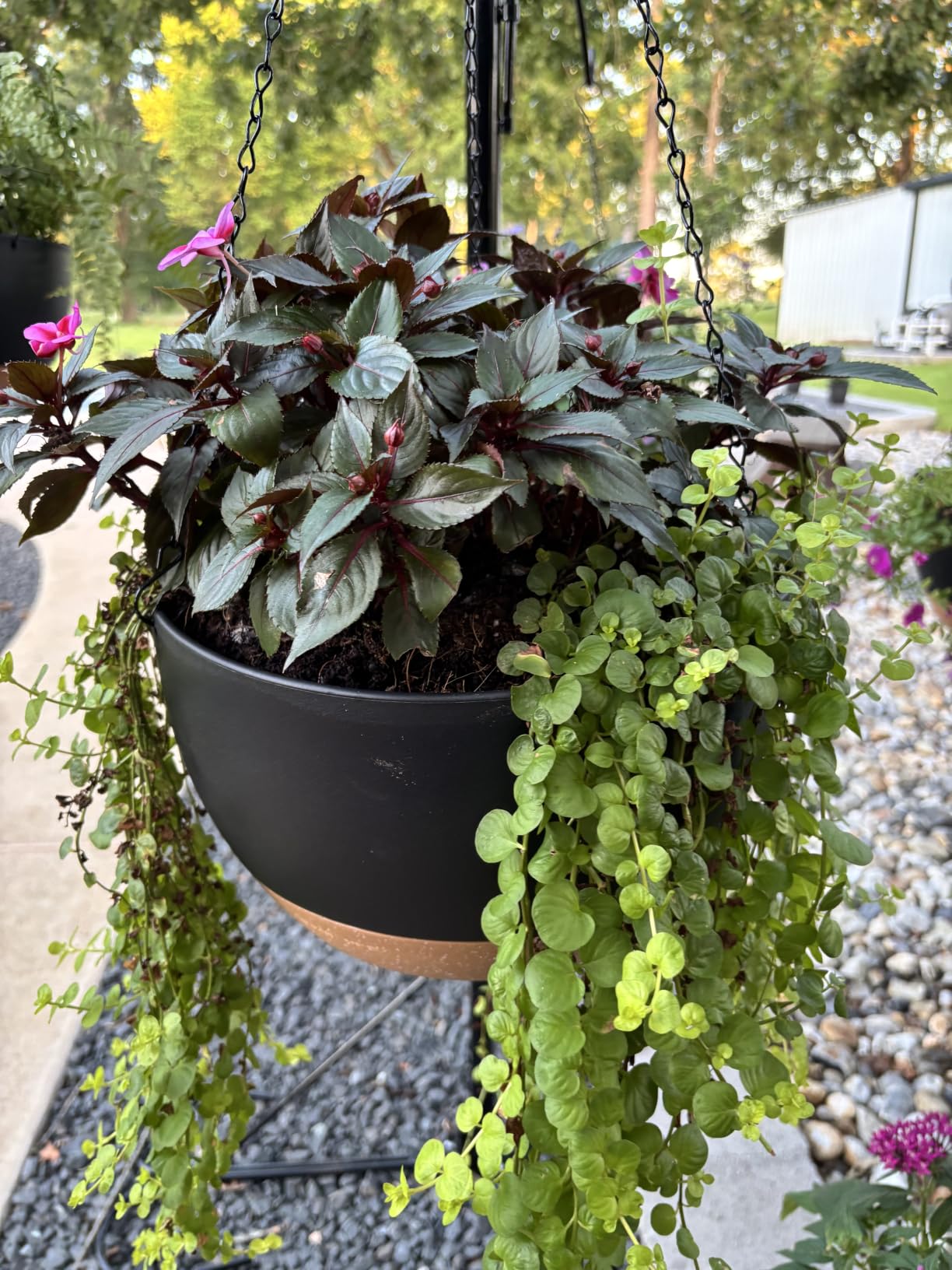 UOUZ 13 Inch 2 Pack Large Self Watering Hanging Planters for Indoor Outdoor Plants, Hanging Plant Pots with Removable 50 Oz Reservoir, Plastic Hanging Basket for Window Porch Garden Balcony, Black customer photo 1