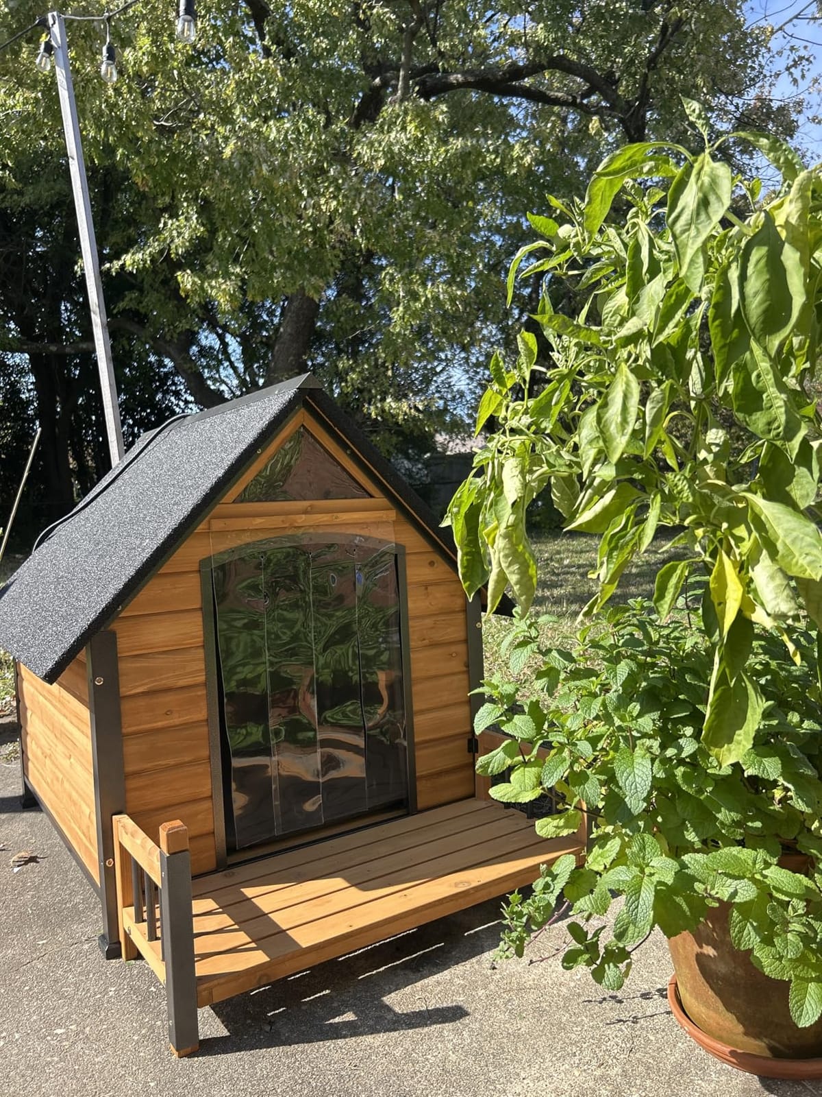 AIVITUVIN Heated Outdoor Dog House for Winter, Large Wooden Dog Kennel with Heated Pad, Insulated Liner, Metal Frame, Waterproof Roof, Raised Base and Porch for Medium to Large Dogs customer photo 2