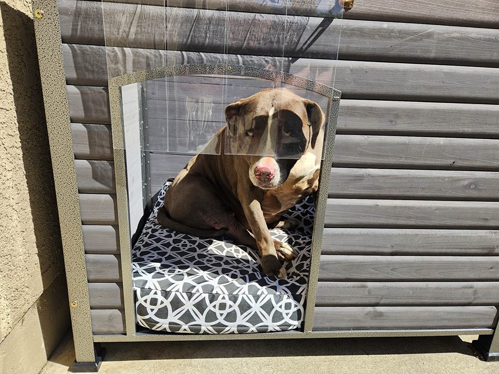 Extra Large Heated Dog House Outdoor for Large Breed Dogs, Insulated Dog Kennel Outside, Metal Frame,Weatherproof Dog Shelter with Porch and Elevated Floor, for XL Big Dog (Heating Pad) (Brown) customer photo 2