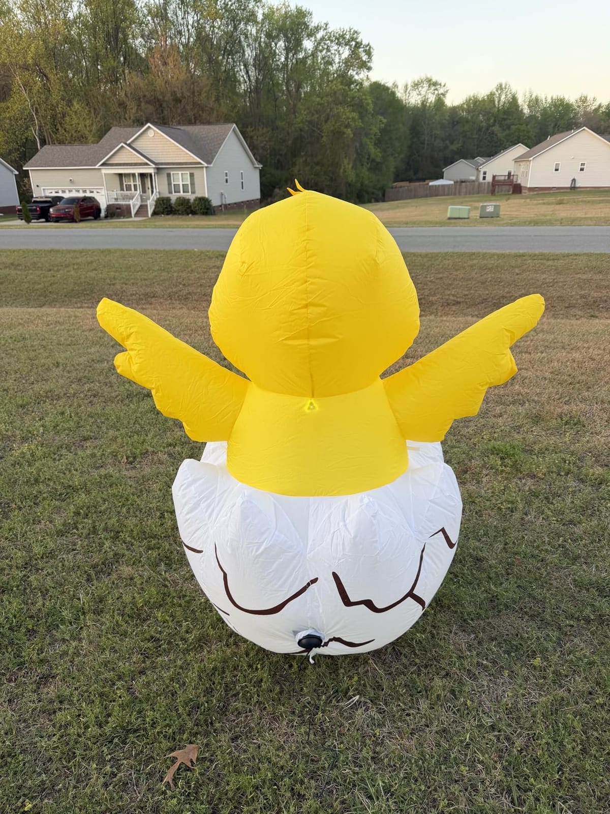 4.2 FT Easter Chick Inflatables Outdoor Decorations Blow Up Yard with Built-in LEDs customer photo 1
