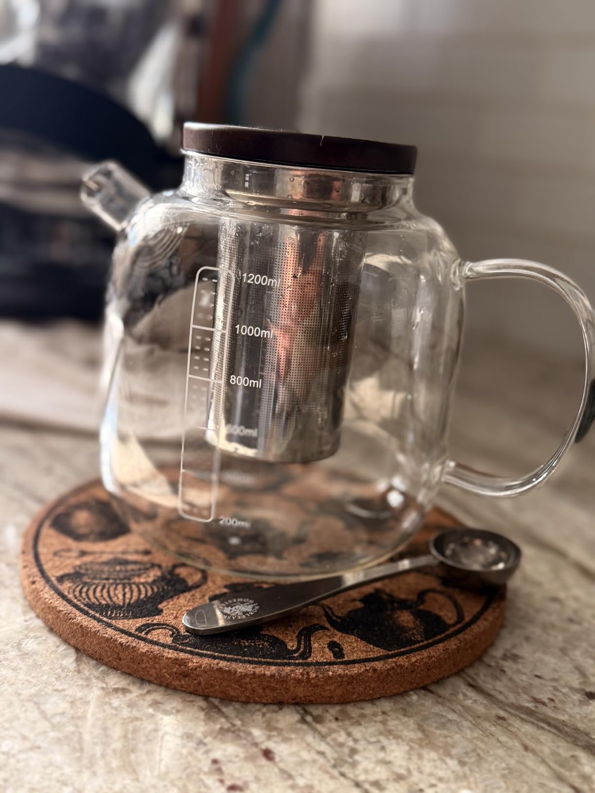 Glass Teapot with Infuser and Lid - 40oz Borosilicate Glass Teapot with Heat-Resistant Handle, Stainless Steel Mesh Infuser for Loose Leaf & Blooming Tea, Stovetop & Microwave Safe customer photo 1