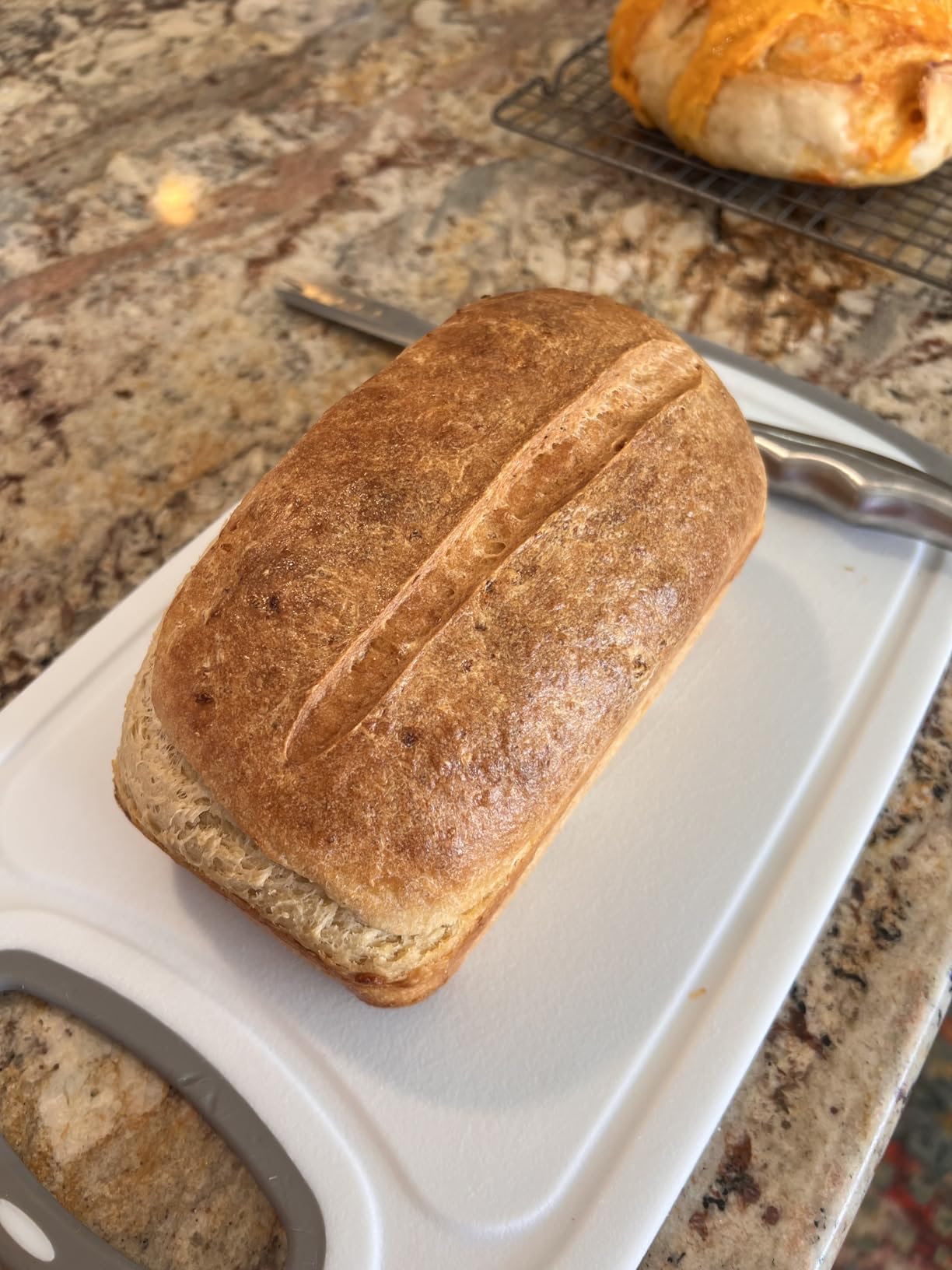 Cozy Bread® Proofing Mat & Insulation Box | Thermostat Controlled Sourdough Bread Proofer Kit | Dough Fermentation Bundle, 10