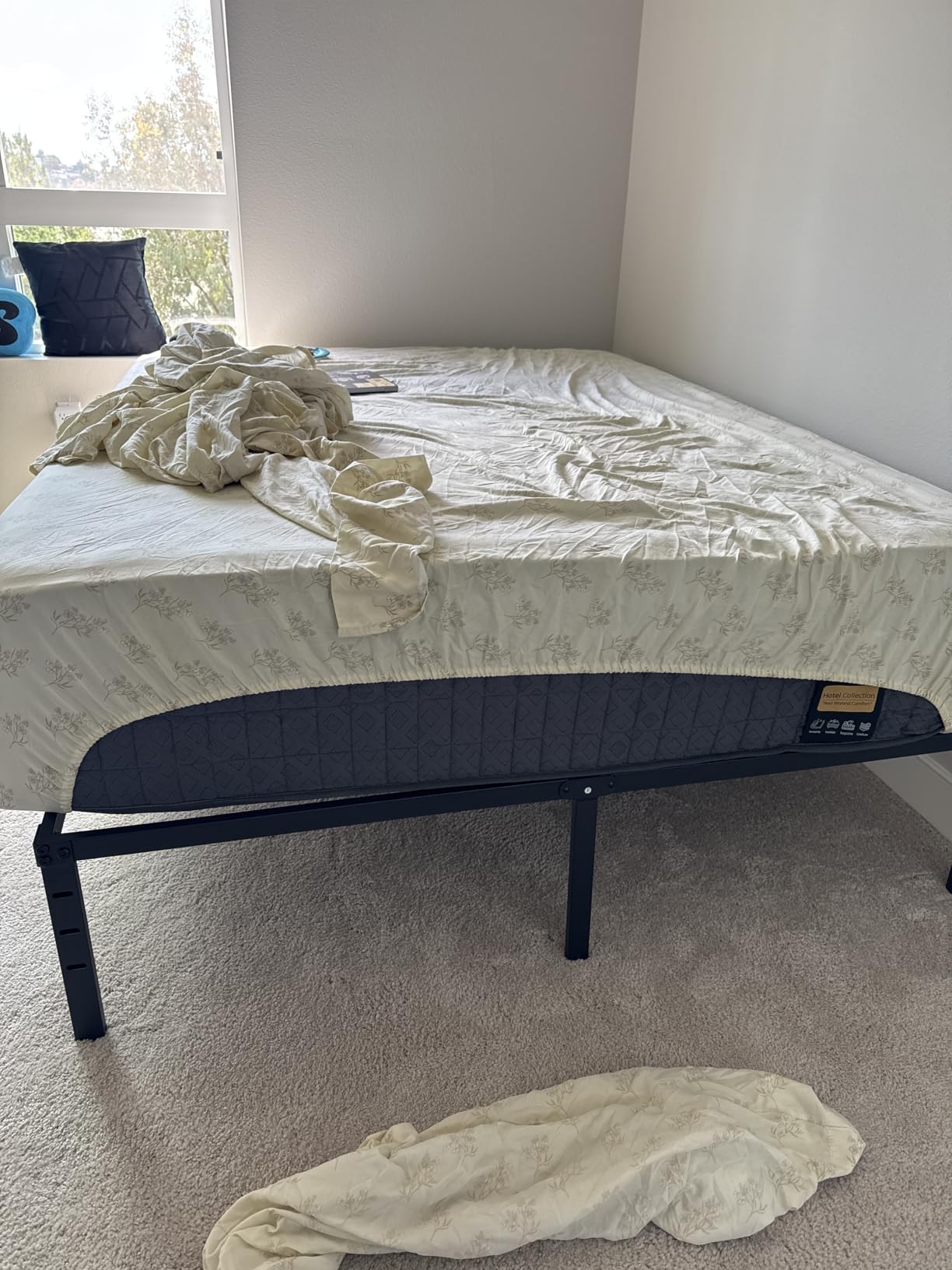 14 inch Medium Firm Mattress Queen, Hybrid Mattress with Back and Lumbar Hip Support, Fiberglass Free, 365 Nights Trial, 10 Years Warranty customer photo 2