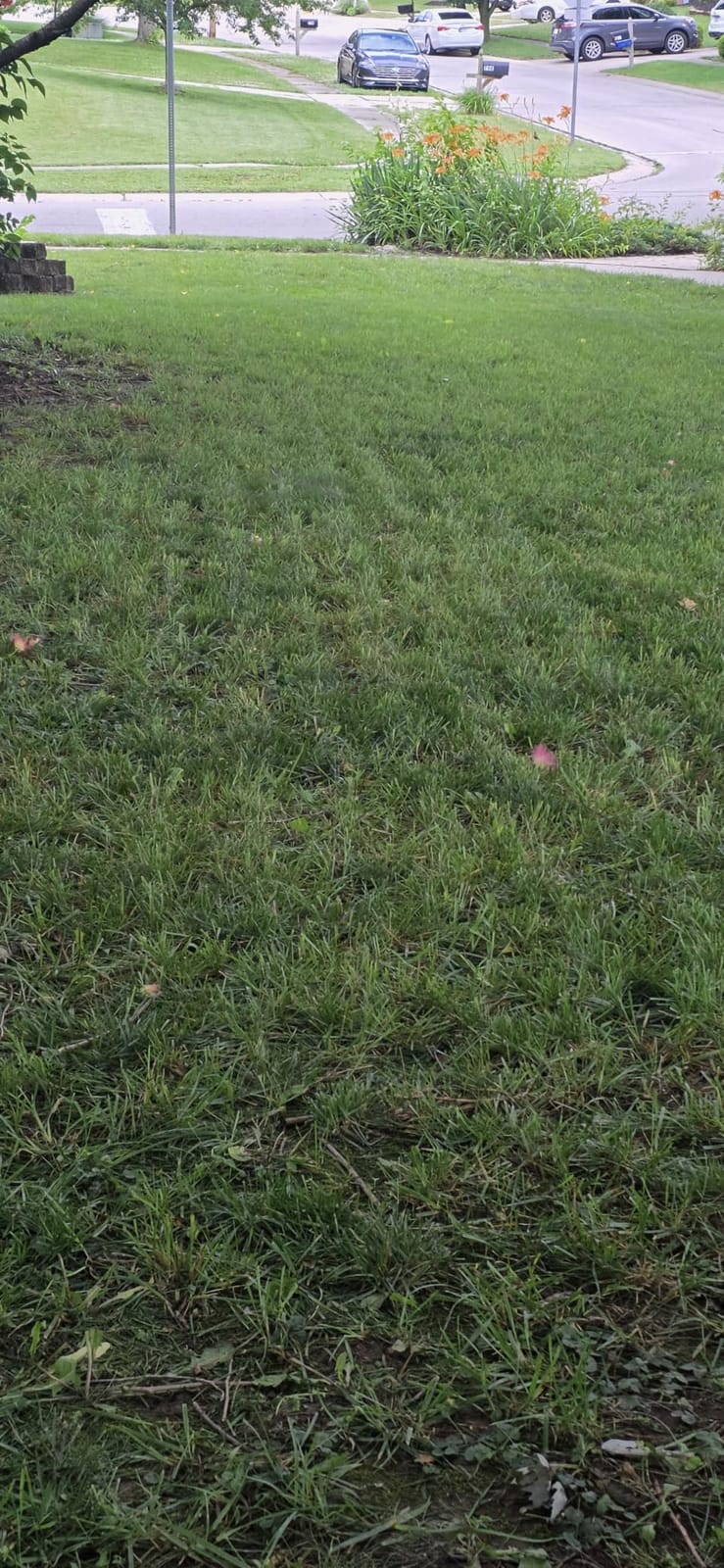 Sunseeker S4 Robot Lawn Mower, 3D LiDAR, Vision AI, 0.25 Acre, Wire-Free | Reliable wire-free mowing for homeowners with complex yards, trees, shade and narrow passages customer photo 1