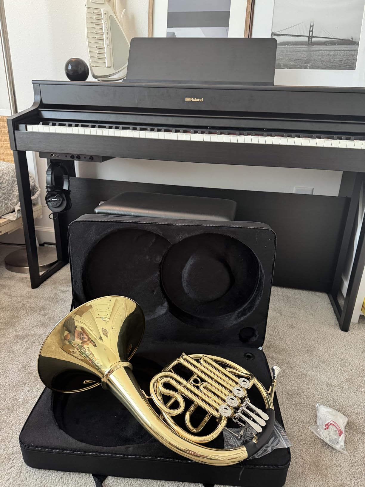 Double French Horn F/Bb 4 Keys, Gold Craft Lacquer Brass Professional French Horn, Complete Accessory Kit for Concert Band and Solo Performance, Sliver customer photo 1