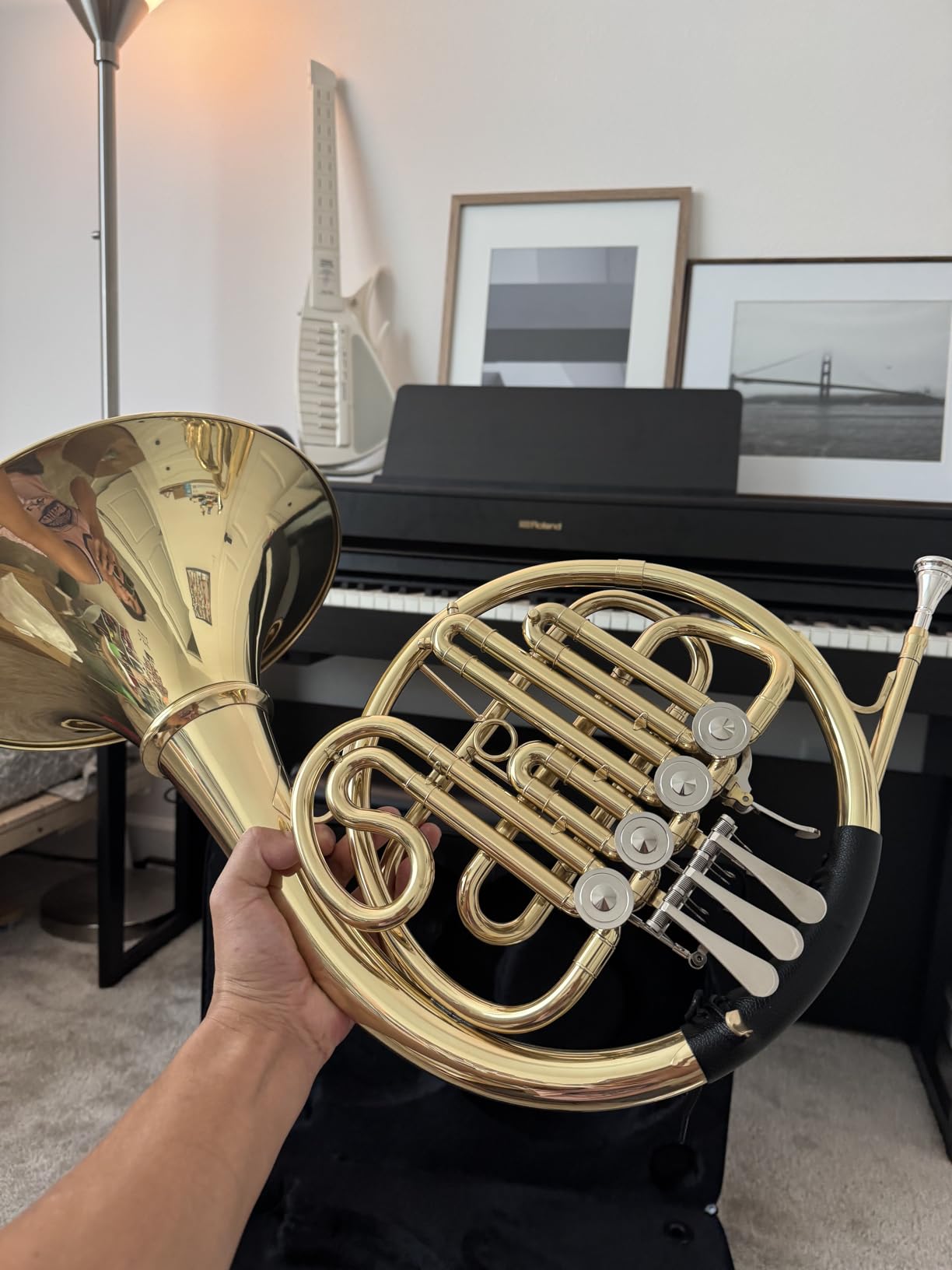 Double French Horn F/Bb 4 Keys, Gold Craft Lacquer Brass Professional French Horn, Complete Accessory Kit for Concert Band and Solo Performance, Sliver customer photo 2