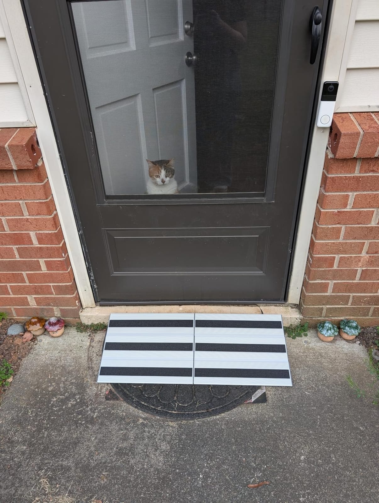 6 Inch Threshold Ramps for Doorways, Wheelchair Ramp for Home Steps | 31 in Wide, Modular Aluminum Panels, 1100 lb Capacity, Curb and Step Access, Scooters and Power Chairs, Indoor/Outdoor Use customer photo 1