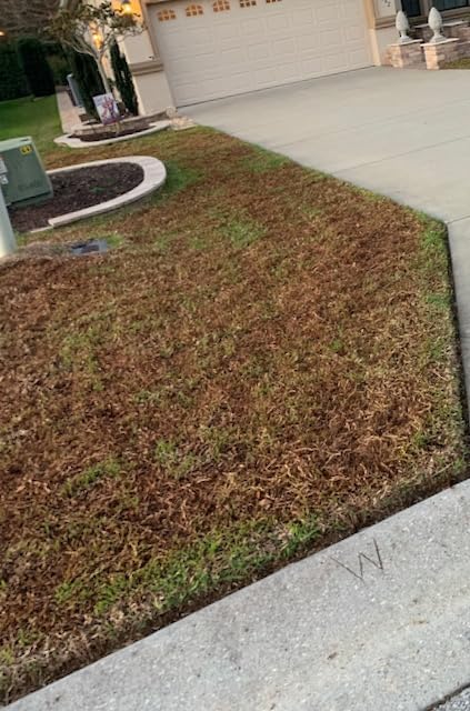 TIECTOWN 2026 Upgrade 16-Inch 15.5 Amp 2-in-1 Electric Dethatcher and Scarifier with 14.5-Gallon Collection Bag, Lawn Dethatcher with 5-Position Depth Adjustment, Keeps Lawn Healthy - Green customer photo 1
