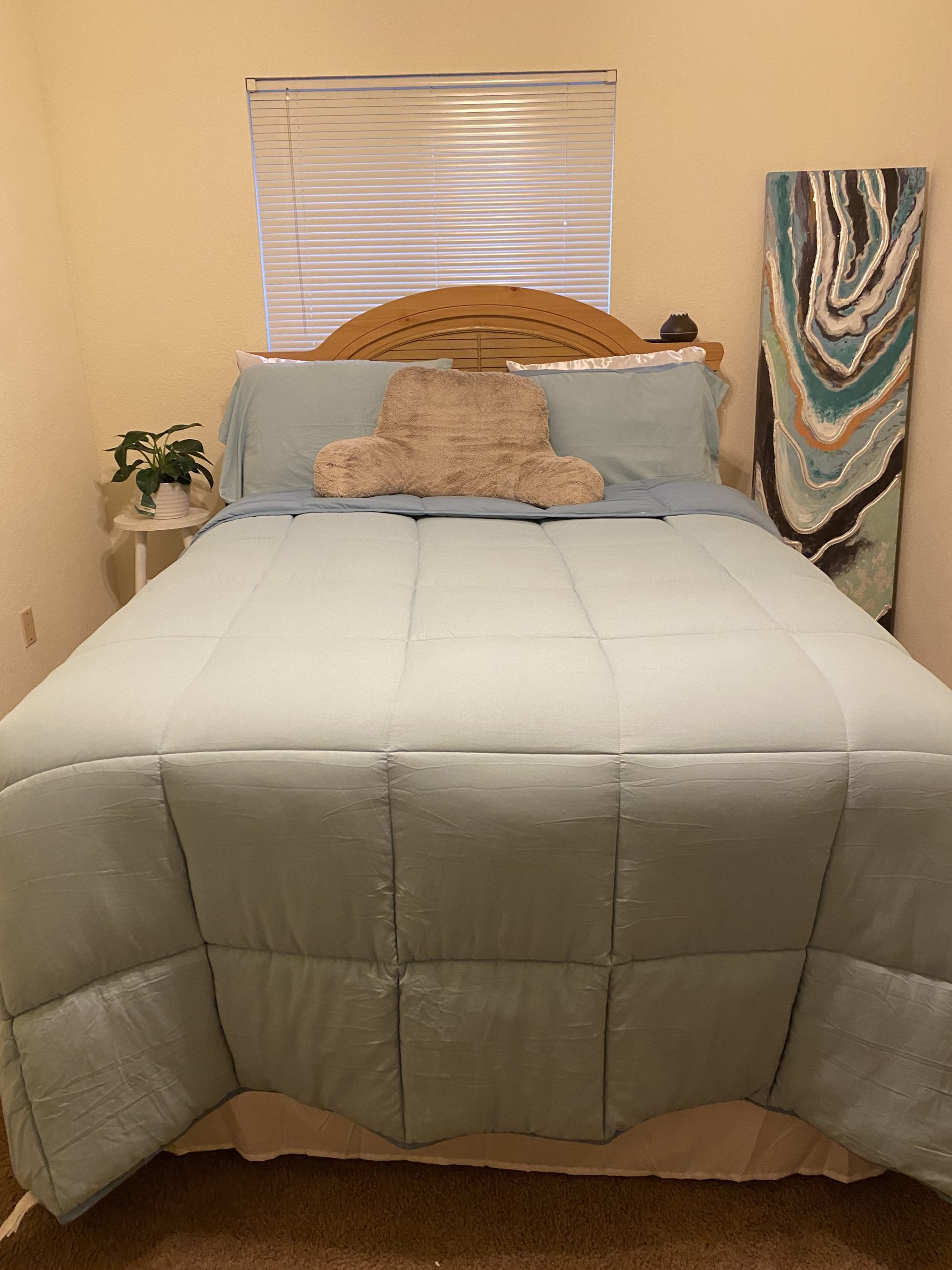 APSMILE Goose Feather Down Fibers Comforter Queen Size, 90x90 Inch | Organic Cotton Duvet Insert, All Season Warmth, Baffle Box, Quill-Free Soft Fluffy Hotel Bed Comforter, Ivory White customer photo 1