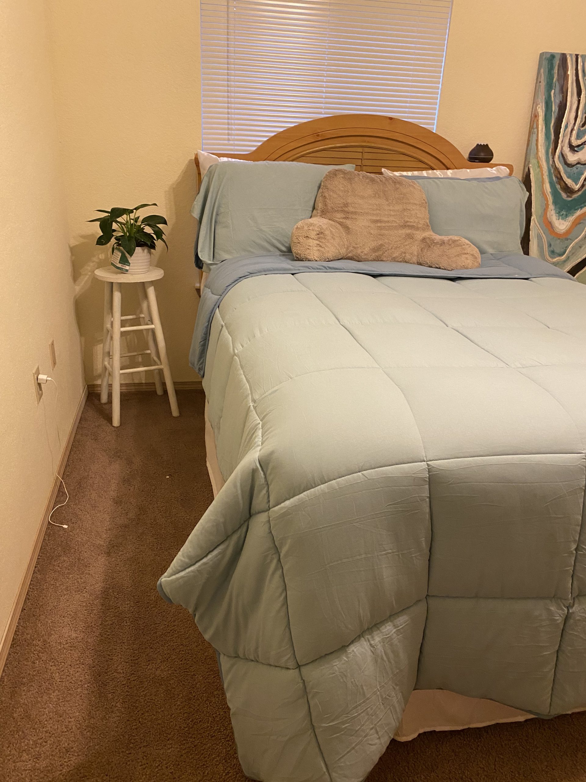 APSMILE Goose Feather Down Fibers Comforter Queen Size, 90x90 Inch | Organic Cotton Duvet Insert, All Season Warmth, Baffle Box, Quill-Free Soft Fluffy Hotel Bed Comforter, Ivory White customer photo 2