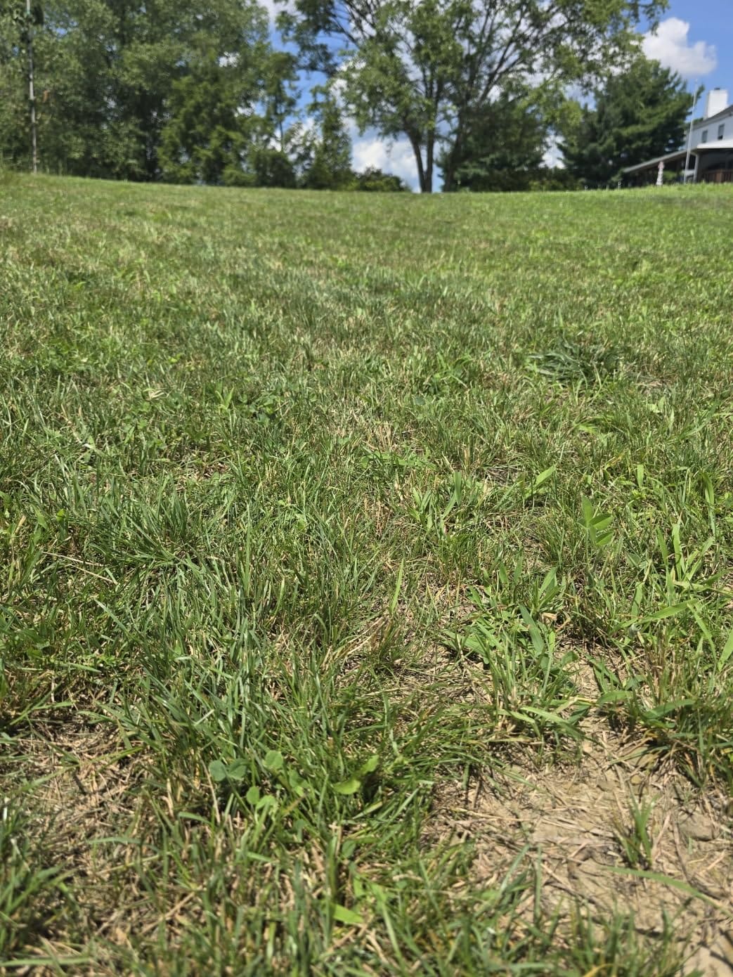Segway Navimow X430 Robot Lawn Mower Wire Free with Garage X, 4WD for 84% Slopes, Zero-Turn Mowing, Dual 180W Motors, Covers 1 Acre (Garage Shipped Separately) customer photo 2
