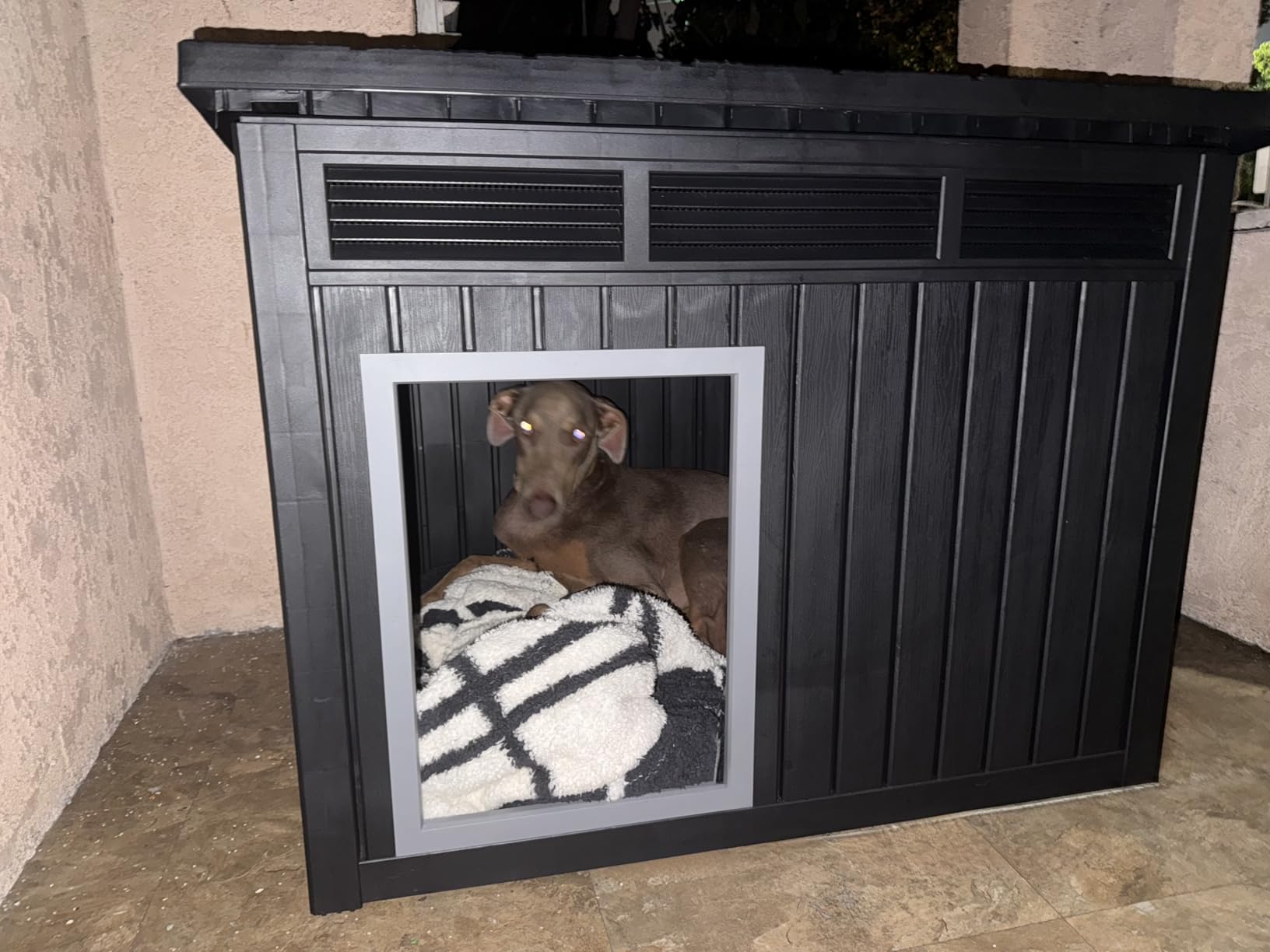 DRATO Indoor & Outdoor Resin Dog House with Raised Floor, Heated Pad and Easy Assembly - Small Breed Shelter Featuring Louvered Vents, Spiked Legs, and Sloped Roof, Black customer photo 2