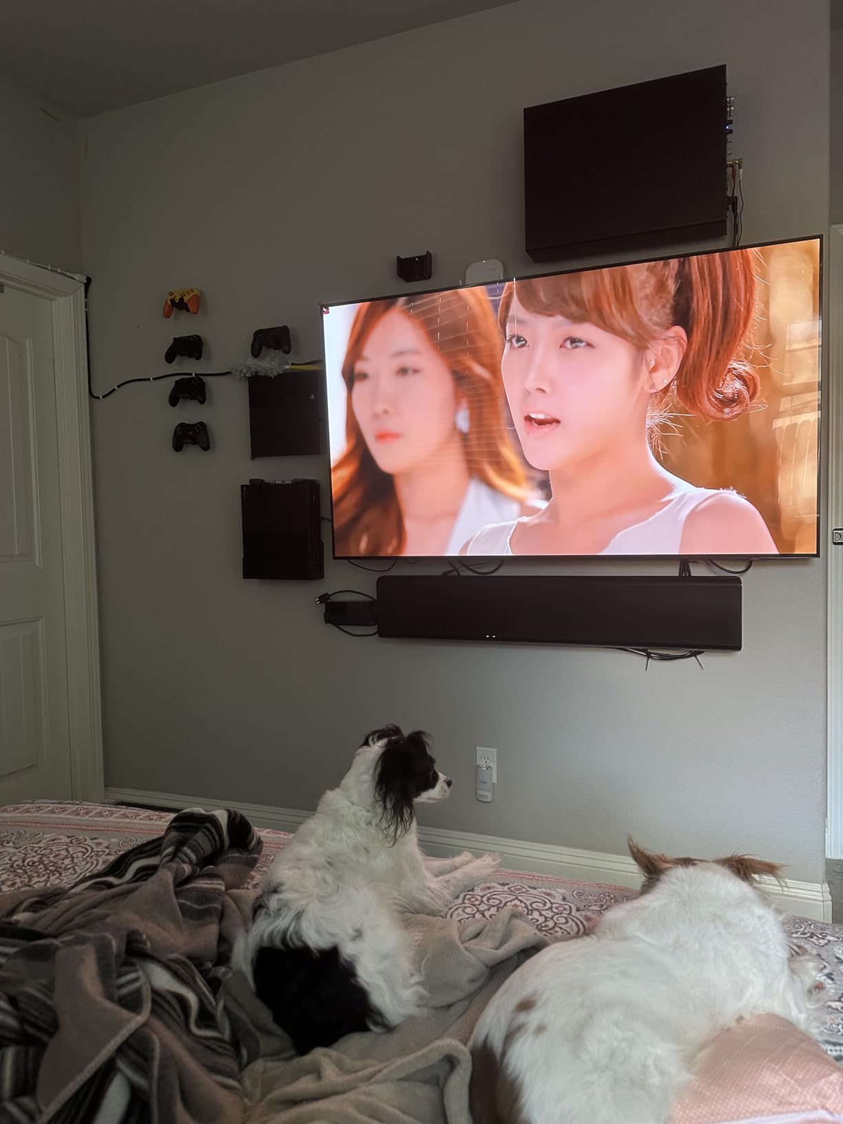 Samsung 48-Inch Class S85H Series, OLED, 4K, Smart TV, 2026 Model | Samsung Vision AI, OLED HDR, NQ4 AI Gen2 Processor, 4K AI Upscaling, AI Sound Controller, Color Booster Pro, Alexa Built-in customer photo 2