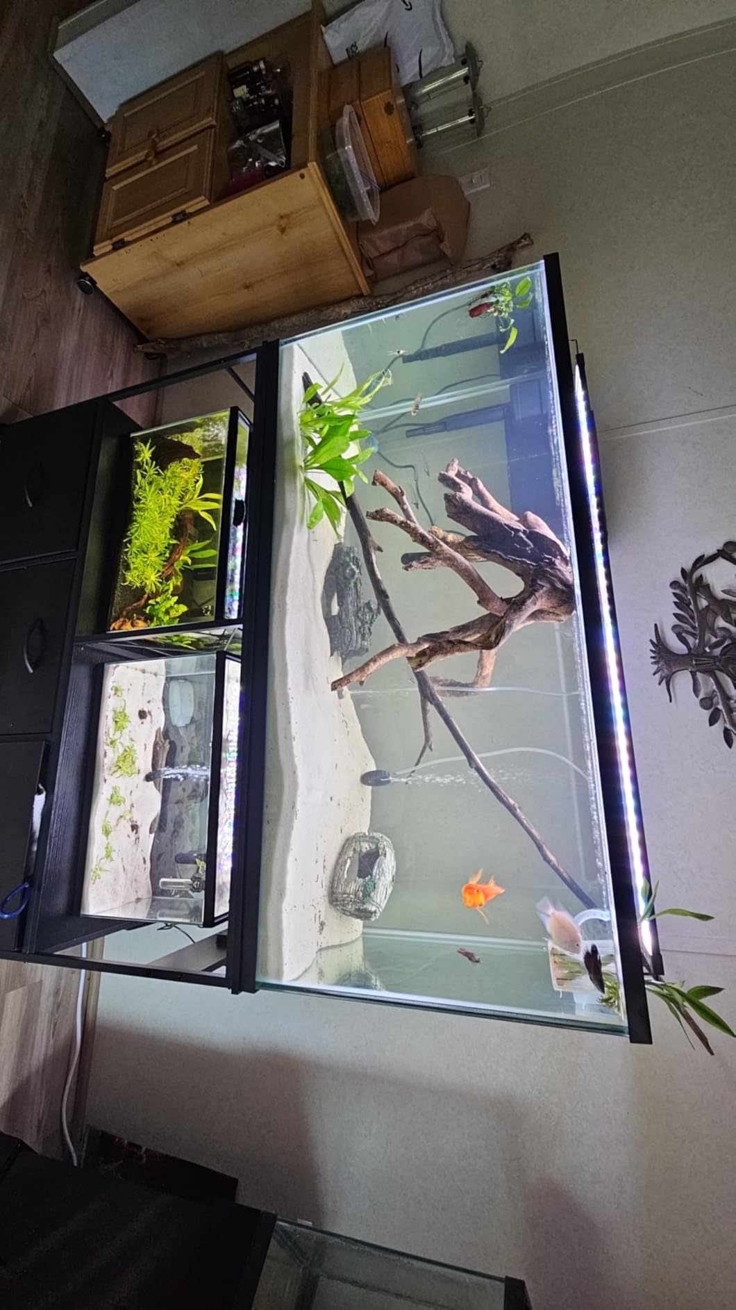 Heybly 20-29-37 Gallon Fish Tank Stand with Power Outlets & Storage HAS011SR | Aquarium Stand with Drawers & Hooks, Metal Frame, 31.5