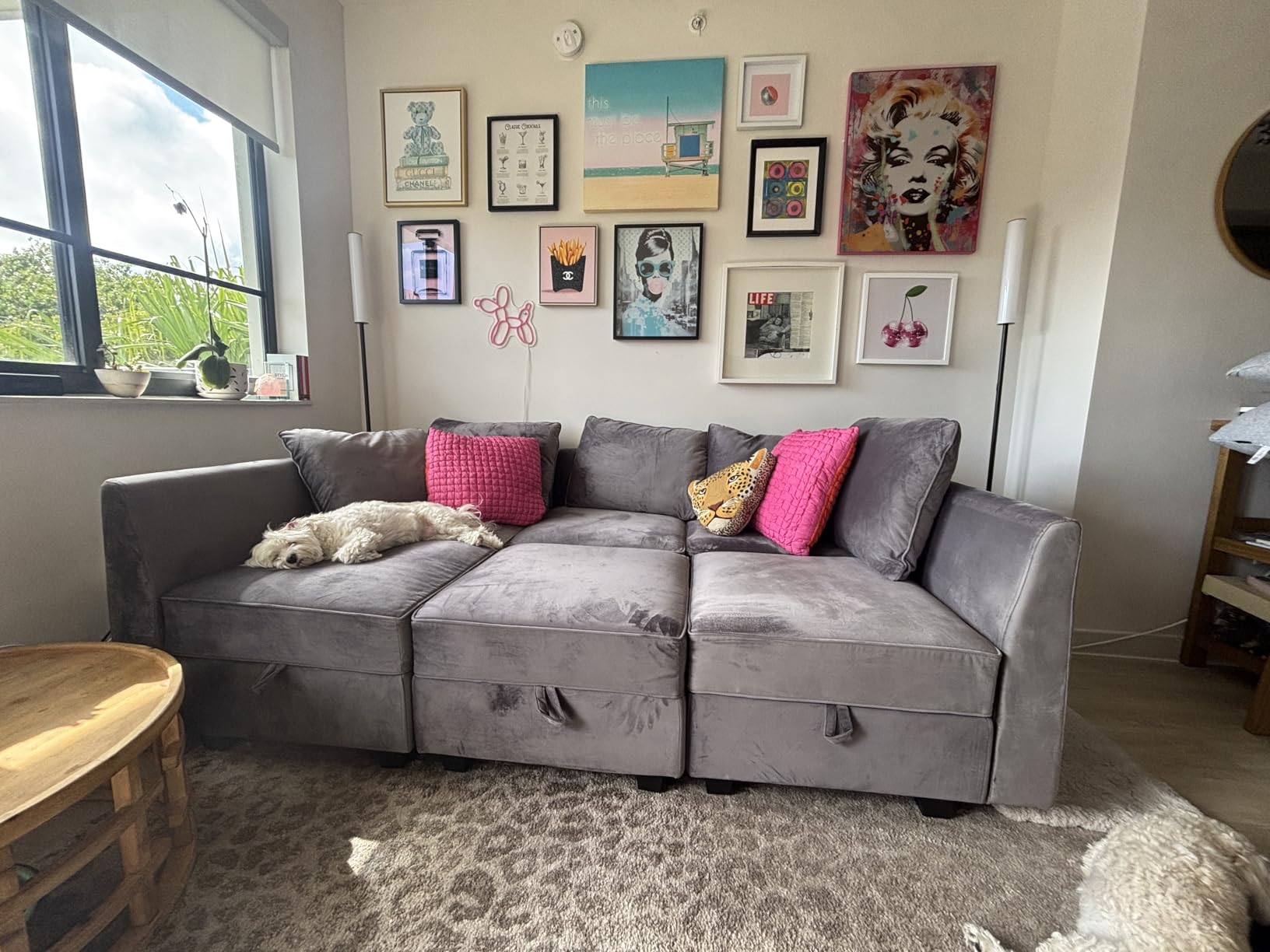 HONBAY Modular Sectional Couch L Shaped Sofa with Storage, Black | Velvet Pet-friendly Fabric, Convertible Sectional Couches for Living Room, Easy to assemble, Removable Cushion customer photo 2