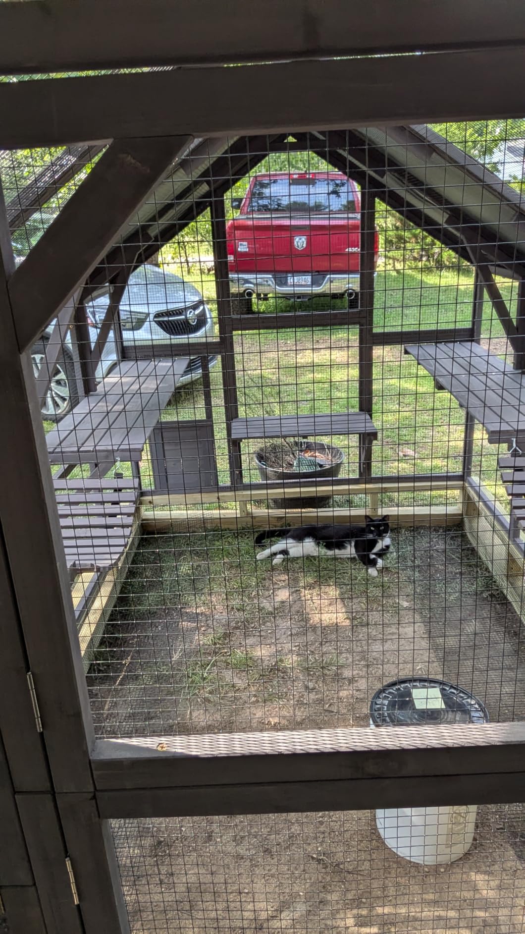 Aivituvin Window Catio Outdoor Cat Enclosure Super Large Walk in Cat House with 6 Platforms and 2 Scratching Posts for Cats,104
