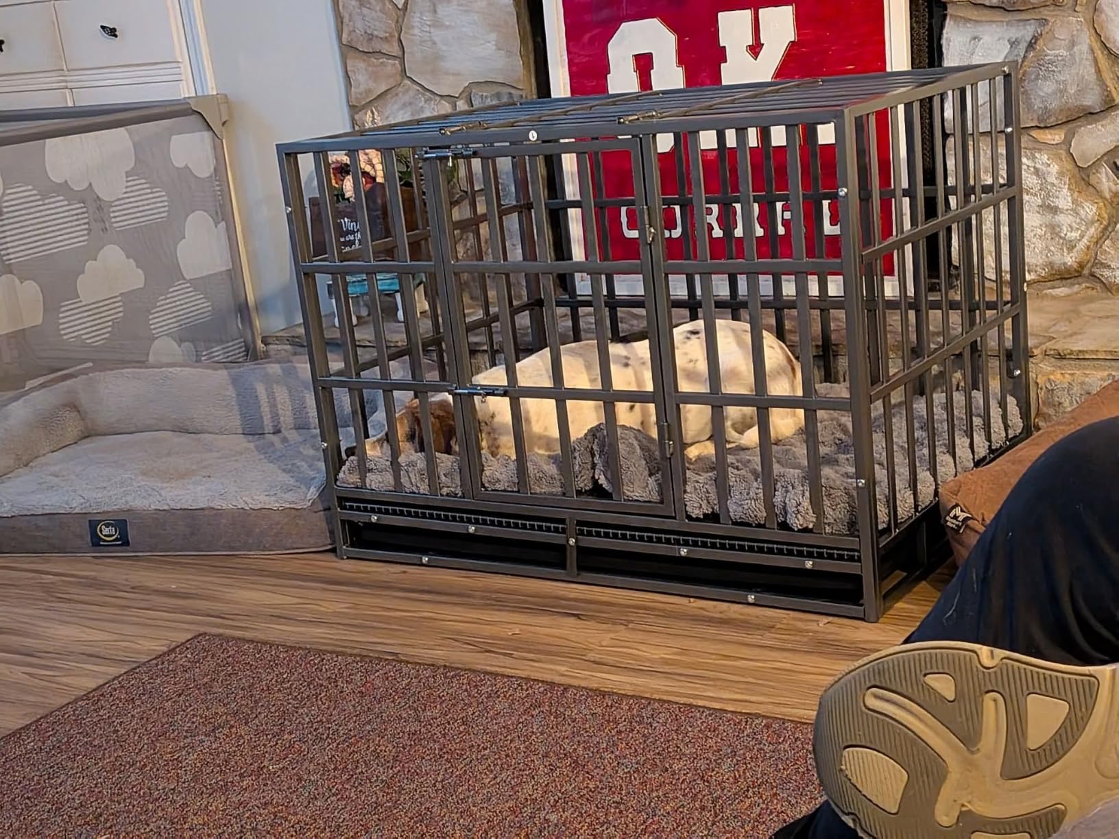 Heavy Duty Dog Crate 38 Inch, Indestructible Kennel for Small Dogs | 38-60