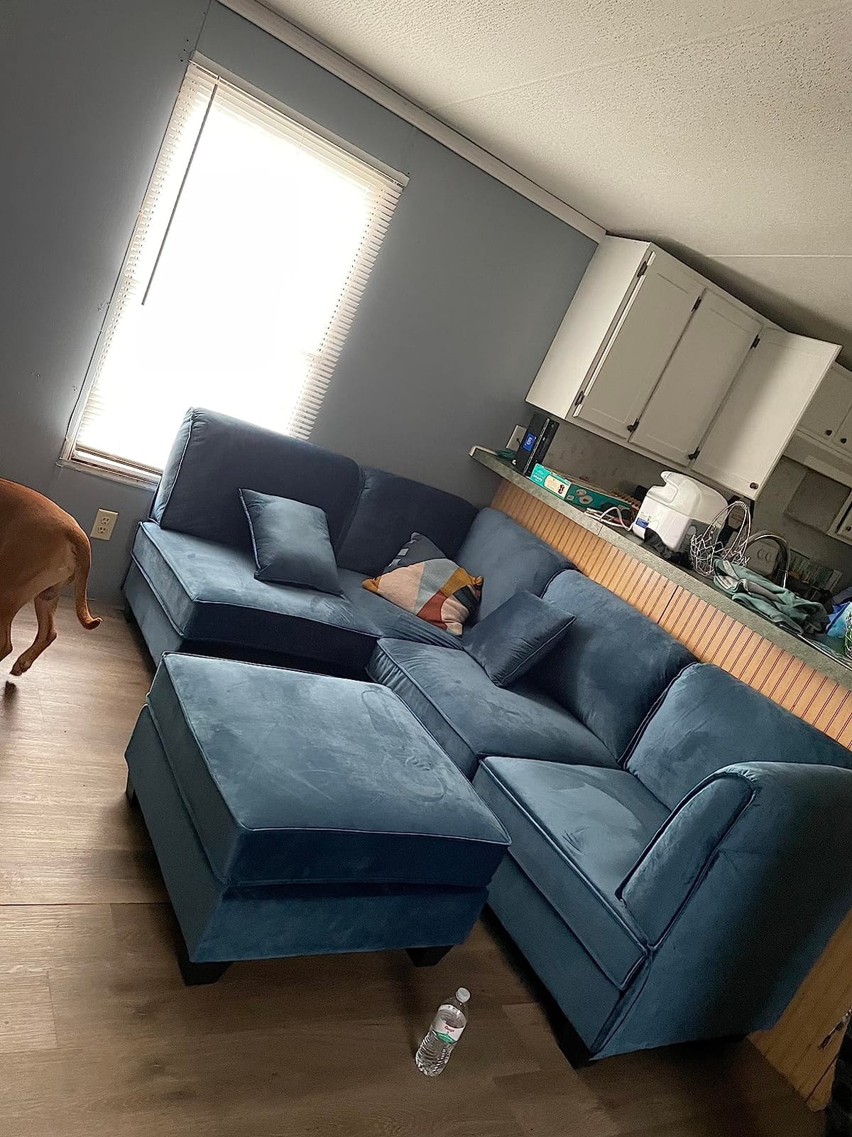 Vongrasig Bean Bag Chair for Adults, Line Fabric Lazy Sofa Couch, Memory Foam Filled customer photo 1