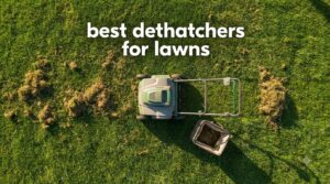 best dethatchers for lawns