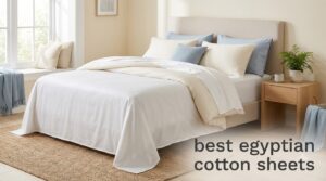 best egyptian cotton sheets