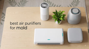 best air purifiers for mold