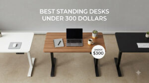 best standing desks under 300 dollars