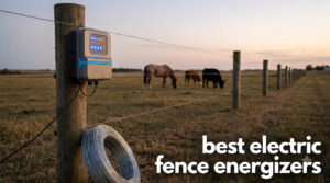 best electric fence energizers