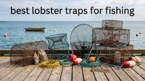 best lobster traps for fishing