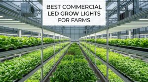 best commercial led grow lights for farms