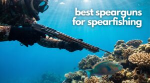 best spearguns for spearfishing