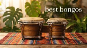 best bongos