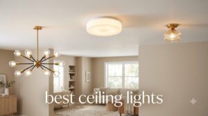 best ceiling lights