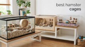 best hamster cages