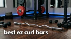 best ez curl bars