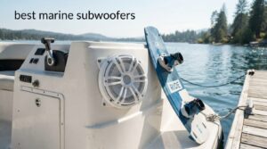 best marine subwoofers