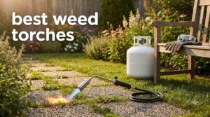 best weed torches