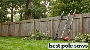 best pole saws