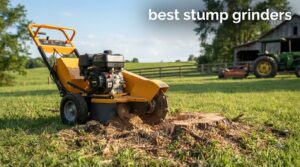 best stump grinders