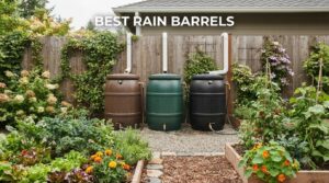 best rain barrels