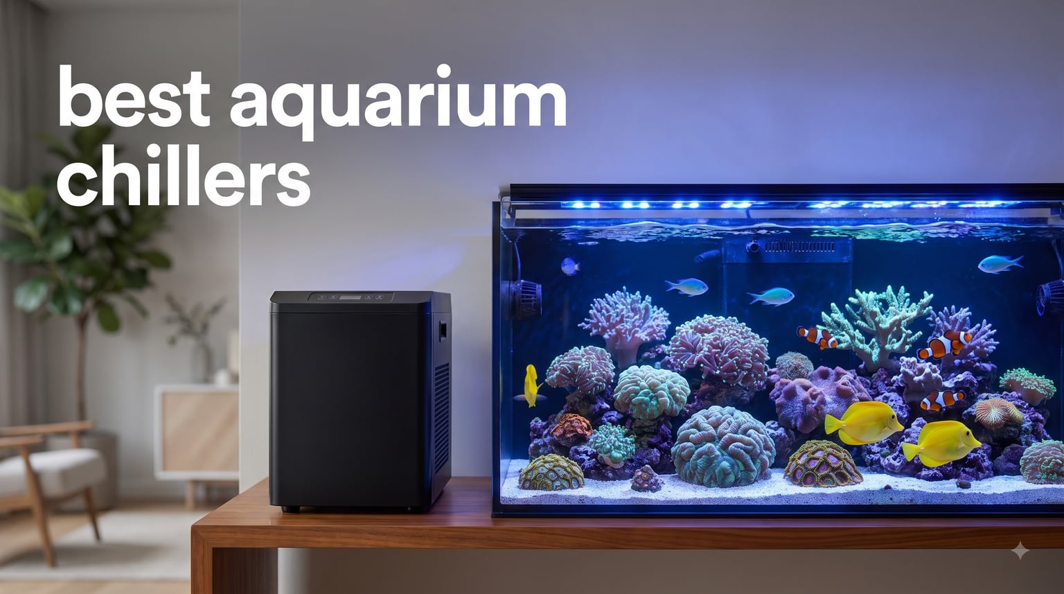 best aquarium chillers