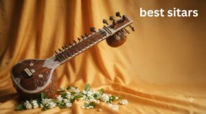 best sitars