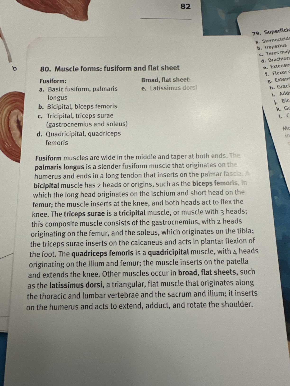 Anatomy Flashcards: 300 Flashcards with Anatomically Precise Drawings and Exhaustive Descriptions customer photo 1