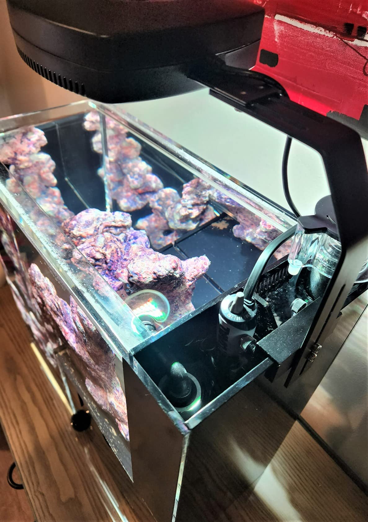 Fluval M 50-Watt Submersible Aquarium Heater for Fresh & Saltwater Tanks | Compact, Reliable Heating with Mirror Technology customer photo 1